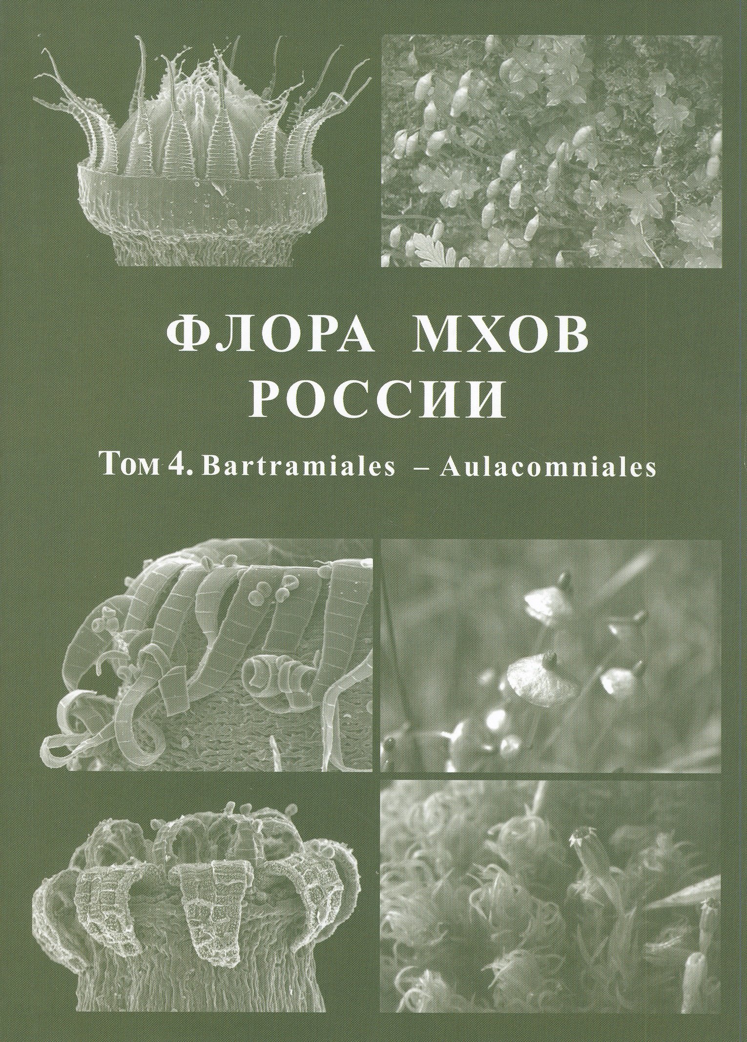 

Флора мхов России. Том 4. Bartramiales - Aulacomniales