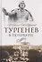 Тургенев в Петербурге - 0