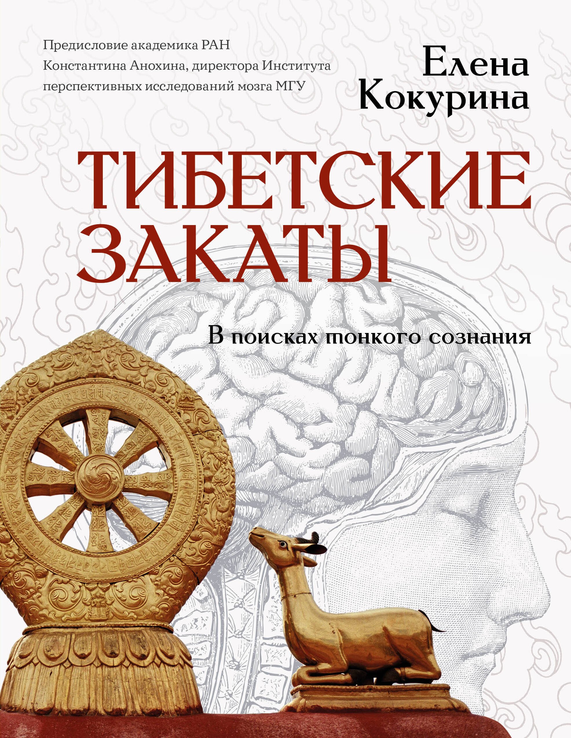 

Тибетские закаты. В поисках тонкого сознания
