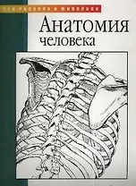 Анатомия человека
