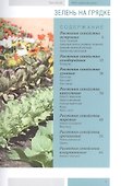 Моя чудесная дача т.5 Зелень на грядке - 1