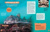 Акулы. Иллюстрированная энциклопедия - 2