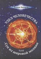 Удел человечества, или Суп из шаровой молнии
