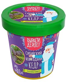 Набор для выращивания "Сибирский новогодний кедр"