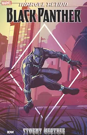 Black Panther. Stormy weather. Book 1