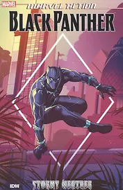 Black Panther. Stormy weather. Book 1