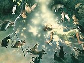 Кошки Дремучего леса - 2