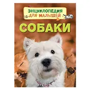 Собаки