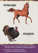 Домашние животные для малышей - 2