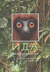 Ида Взгляд из прошлого (илл. Хюльсен)