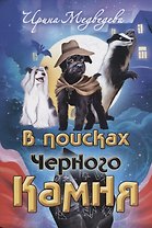 В поисках Черного Камня
