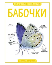 Бабочки