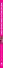 Самые неприхотливые растения для вашего дома - 2
