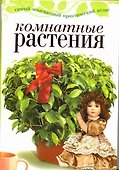 Комнатные растения - 0