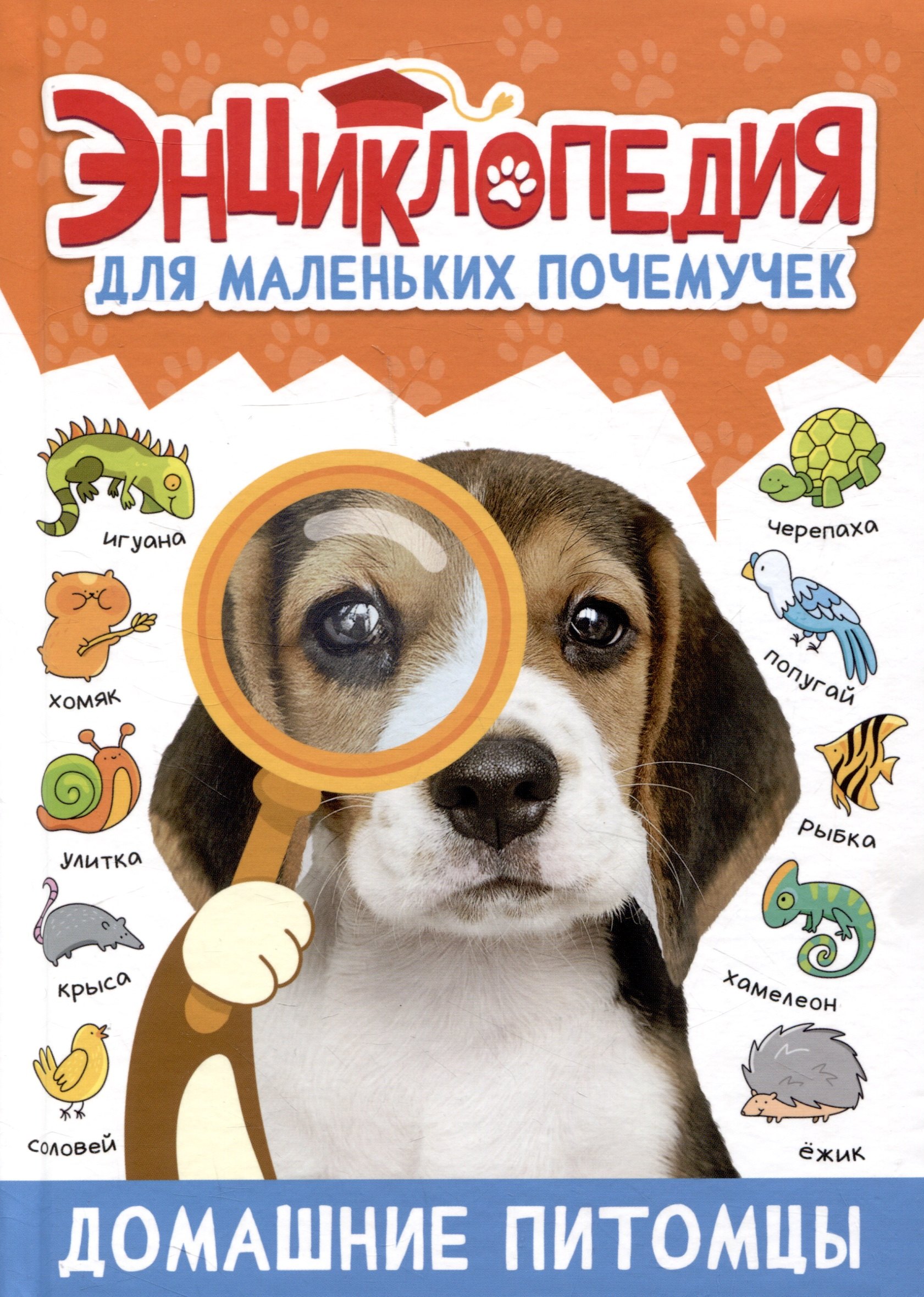 

ЭНЦИКЛОПЕДИЯ ДЛЯ МАЛЕНЬКИХ ПОЧЕМУЧЕК. Домашние питомцы