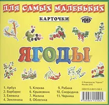 Ягоды / набор карточек