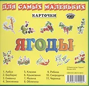 Ягоды / набор карточек