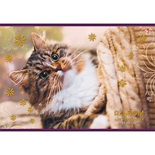 Альбом для рисования «Уютный кот» Unnika А4, 40 листов, скрепка