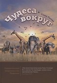 Чудеса вокруг - 0