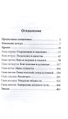 Апостол Павел. Завершение земного пути. Исторический роман - 2