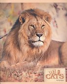Тетрадь 48л кл. "Хищники (Wild cats)" мел.картон, ассорти, Unnika - 1