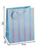 Подарочный пакет «Gradient stripes» А5 - 2