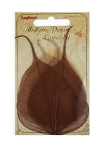 Скелетированные листочки из баньяна Коричневые (SCB300509) (набор/8шт.) (упаковка)