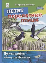 Летят перелетные птицы