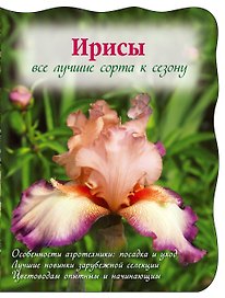 Ирисы:  Все лучшие сорта к сезону