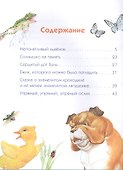 Непонятливый львенок - 1