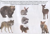 Маленькие зверята - 1