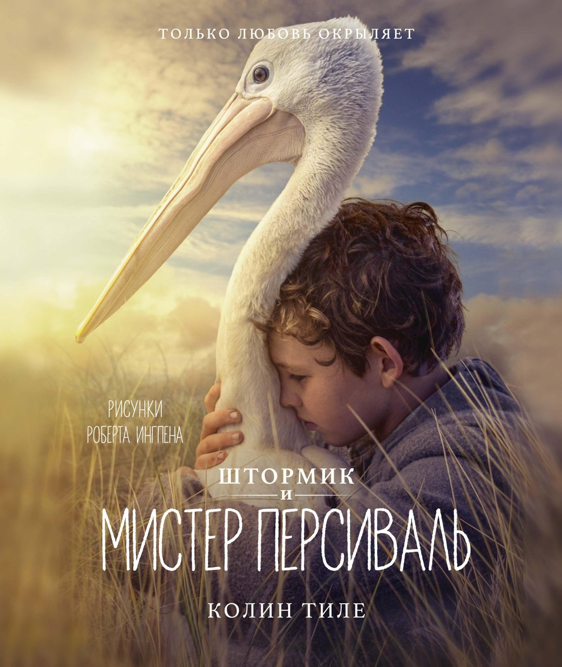 

Штормик и мистер Персиваль