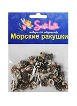 Морские ракушки Ракушка Марула Мусива (2200) (50гр.) (набор для творч.) (3+) (упаковка)