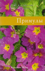 Уход за суккулентами