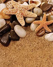 Пластиковый пакет (26х33х13) (16114) (Феникс-Презент)