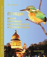 Птицы: живые сокровища Санкт-Петербурга и его пригородов