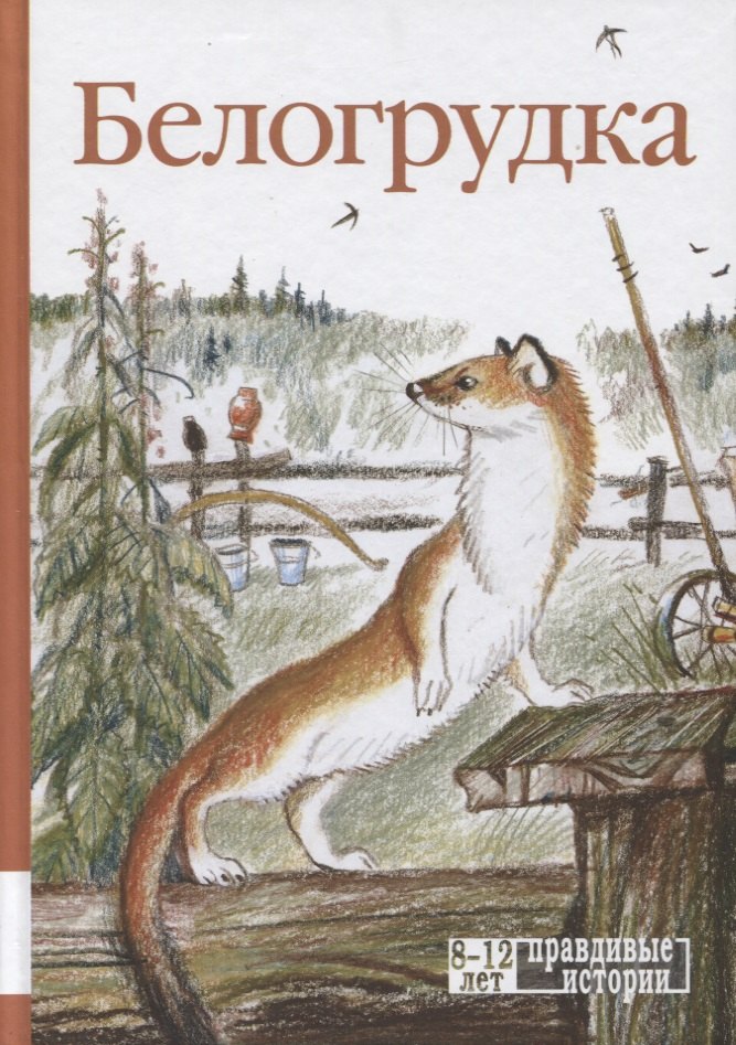 

Белогрудка