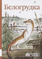 Белогрудка