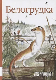 Белогрудка