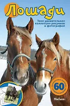 Лошади