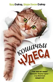 Кошачьи чудеса