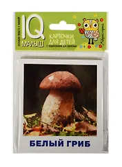 Умный малыш. Грибное лукошко. Набор карточек для детей.