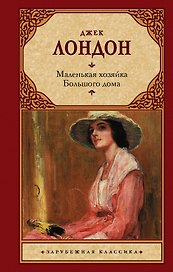 Маленькая хозяйка большого дома: роман