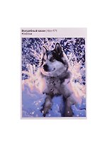 Кпн-171 Картина по номерам Волшебный хаски (ПочСебяХуд) (40х50 см) (коробка) (LORI)