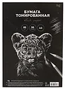 Бумага тонированная черная А4 50л 80гр/м2, для эскизов и печати, BG