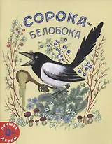 Сорока-белобока