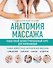Анатомия массажа. Пошаговый иллюстрированный курс для начинающих - 0