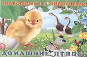 Домашние птицы