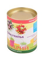 Набор для творчества ТМ Волшебная мастерская Топиарий  малый Тюльпаны ТПМ-01