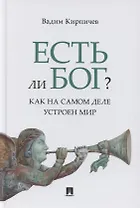 Есть ли Бог? Как на самом деле устроен мир. Исследование